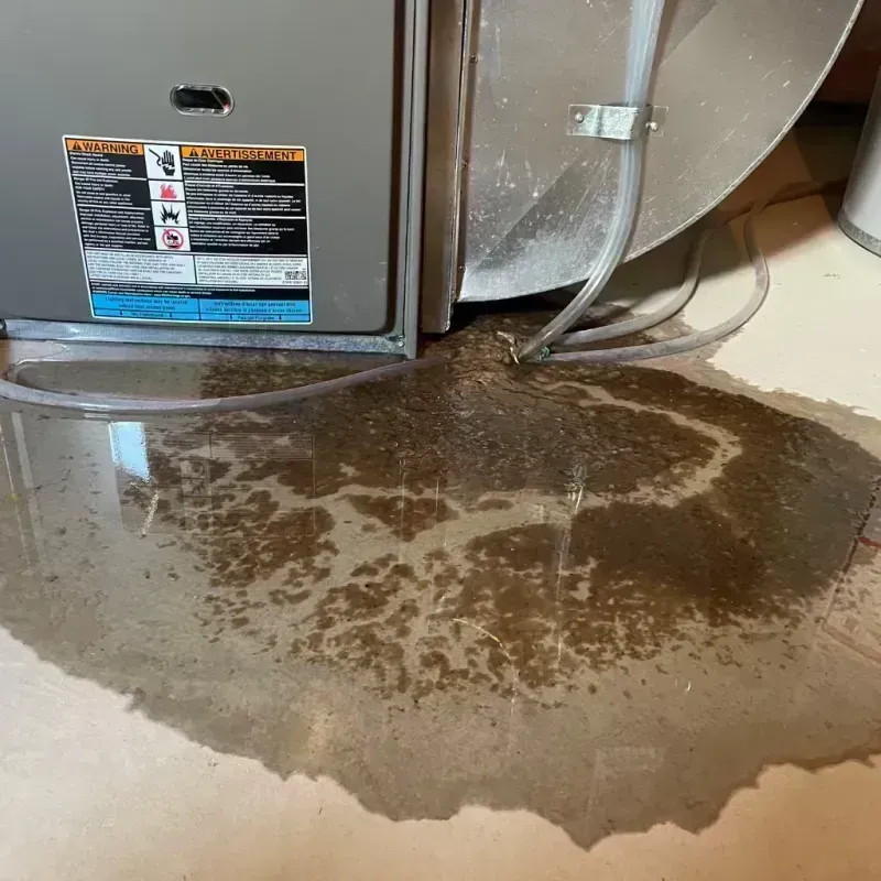 Appliance Leak Cleanup in Kenwood, IL